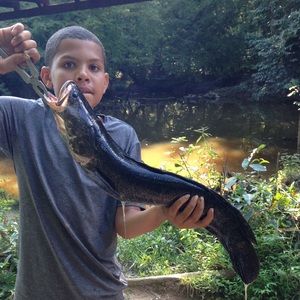 Meet your Posher, Maximus